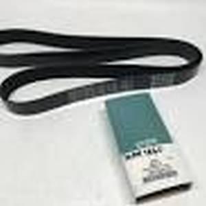 BELT; ACCESSORY DRIVE 